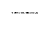Histología digestiva. Estructura general del aparato digestivo (Histológicamente) Consta de cuatro capas: Capa mucosa Capa submucosa Capa muscular Capa.