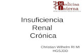 Insuficiencia renal cr³nica