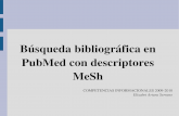 Bsqueda bibliogrfica en PubMed con descriptores MeSh