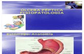 Fisiopatologia Ulcera peptica