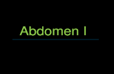 Abdomen I. Proyecciones Anatom­a abdomen Radiograf­a abdomen