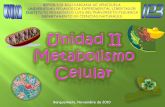 Biolog­a celular Metabolismo Celular