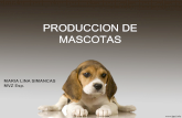 Producci³n Mascotas 1
