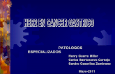Her2 en cáncer gástrico