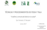 T‰CNICAS Y PROCEDIMIENTOS DE PODA Y .TIPOS DE PODA PODA DE MEJORAMIENTO: Tratamiento silvicultural