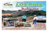 Suplemento Informativo Palenque