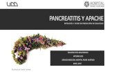 Pancreatitis apache