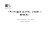 “Miología cabeza, cuello y tronco” - anato.cl comunidadanato/DraCBorroni/UPV/Clase_5_cuello... ·