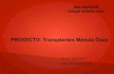 PROXECTO: Transplantes M©dula “ .Trasplantan con ©xito m©dula ³sea de donantes no compatibles