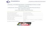GUIA/ITINERARIO FORMATIVO EIR .· guia/itinerario formativo eir pediatria. unidad docente multiprofesional
