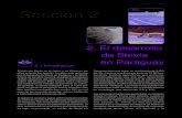 Secci³n 2 - ::: Stevia .23 STEVIA DE PARAGUAY 2.1 Introducci³n 2. El desarrollo de Stevia en Paraguay