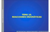 Tema 10 â€“Reacciones Enzimticas - ocw.ehu.eus .Tema 10 â€“Reacciones Enzimticas 3 OCW ©Rub©n