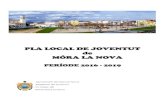 PLA LOCAL DE JOVENTUT - .habitatge, salut, cultura i esport), pol­tiques de cohesi³ social, i pol­tiques