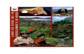 Vision de la Biodiversidad de los Andes del .colaboradores de cuatro países —Colombia, Ecuador,