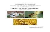 APUNTES DE APICULTURA - La isla de La Palma es la tercera isla en censo de colmenas (3273 colmenas),