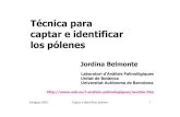 Técnica para captar e identificar los pólenes .. Zaragoza 2003 Captar e identificar pólenes 2