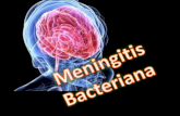 Meningitis med interna
