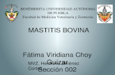 Mastitis Bovina FMVZ