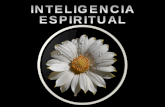 193 inteligencia espiritual
