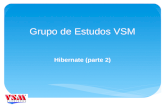 Grupo de Estudos VSM