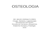 Exposi..OSTEOLOGIA 15
