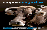 Copos Magazine 7
