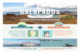 Galapago Travel
