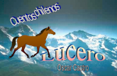 Lucero (1)
