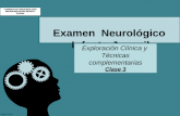 Examenes neurologicos