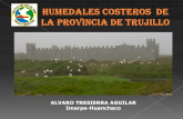 Humedales costero de Trujillo