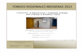 Proyecto Integral Fondo Indigena 2013