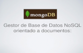 MongoDB Expo