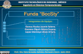 Plan de negocios funda BocSty