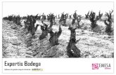 Expertis Bodega - .Expertis Bodega PGINA 3 Especialistas en software para bodegas El sector vitivin­cola,