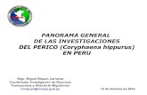PANORAMA GENERAL DE LAS INVESTIGACIONES DEL ... muestreos biolأ³gicos en Paita, Pucusana, Ilo y flota