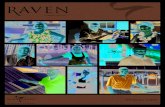 Raven Edici£³n n£›m. 20cdn. actualizaci£³n sobre Glen Raven y nuestras tres unidades de negocios: Glen