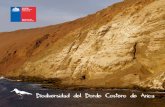 Biodiversidad del Borde Costero de Arica - Ministerio del Medio Ambiente 2019-07-08آ  4 Borde Costero,