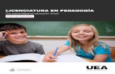 Plan de Estudios - UEA Centro Universitario 2019-05-23آ  UEA Centro Universitario PLAN DE ESTUDIOS -