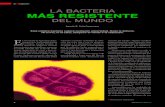 LA BACTERIA MأپS RESISTENTE ... La bacteria mأ،s resistente del mundo tiene mecanismos para prevenir
