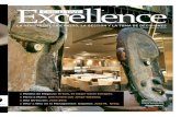 Executive Excellence n40