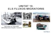 Unitat 10   els fluxos migratoris