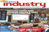 Mexico Industry Guadalajara