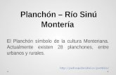Planch³n - R­o Sin - Monter­a