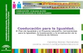 Coeducacion 2015-Carolina Alonso 2