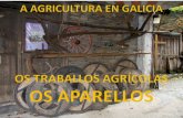 A agricultura en Galiza (traballos)