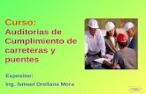 Auditoria de Carreteras y Puentes - InADEP Tarapoto-Moyobamba