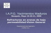 I.A.P.G. Yacimientos Maduros I.A.P.G. Yacimientos Maduros Neuqu©n, Mayo 19-20-21, 2008 Refracturas en arenas de baja permeabilidad-Vision General Departamento