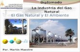 El gas natural y el ambiente