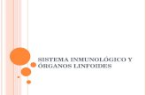Sistema inmunol³gico y ³rganos linfoides