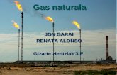 Gas Naturala